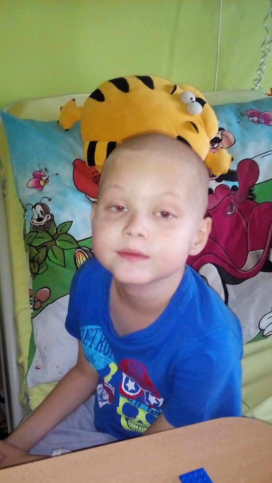 Báli se klíšťového onemocnění, lékaři ale u Ládíka (8) diagnostikovali leukémii.