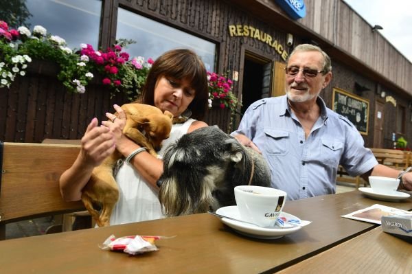 Kníračka Julča patří Frejovi a čivava Tim Gábině.