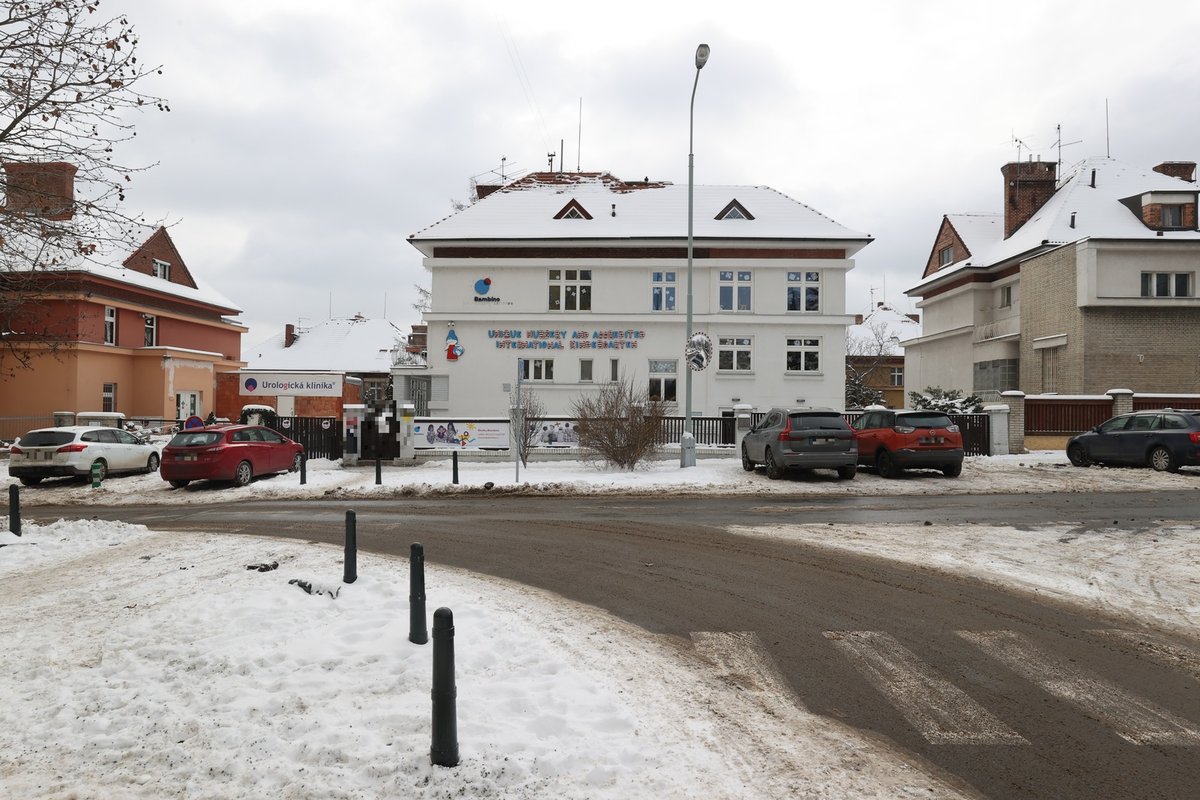 Vila ve Šrobárově ulici na Vinohradech je obrovská.