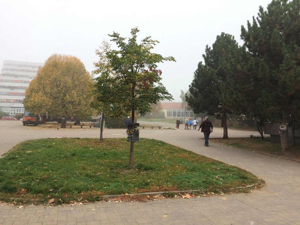 V Praze nastane nefalšovaný podzim.