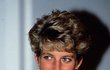 Diana v roce 1991.