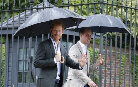 William a Harry se se smrtí maminky stále nesrovnali.