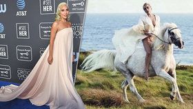 Lady Gaga se svou milovanou kobylkou Arabellou