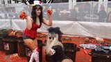 Rajčatová bitka: Je to Katy Perry a Lady Gaga?