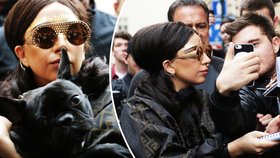 Lady Gaga už je v Praze! Davy fanoušků zdravila s pejskem v náručí 