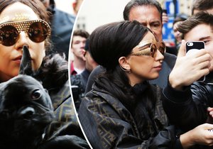 S Lady Gaga přijel i její pejsek Asia