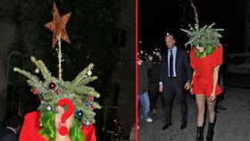 Populární zpěvačka už se zřejmě těší na Vánoce. Převlékla se za ozdobený stromeček.