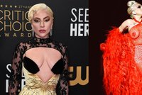 Zpěvačka Lady Gaga: Přešla k celibátu! Krádež skrze vaginu