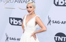 Lady Gaga (33) se zase svlékla: Napůl žena, napůl kyborg!