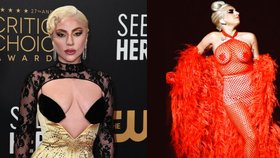 Zpěvačka Lady Gaga: Přešla k celibátu! Krádež skrze vaginu
