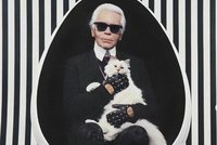 Poslední přání Karla Lagerfelda (†85): Zpopelněn s kočičkou a žádný pohřeb!