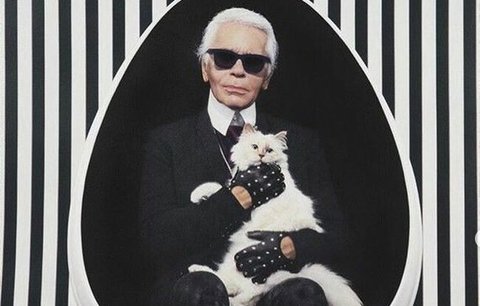 Poslední přání Karla Lagerfelda (†85): Zpopelněn s kočičkou a žádný pohřeb! 