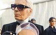 Karl Lagerfeld a Hudson byli velcí přátelé.