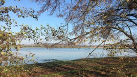 Tohle není jezero, ale voda, která vytekla z přívodného kanálu Kozojídky u Veselí nad Moravou. Zatopená plocha je vidět z dálky.