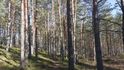 Národní park Lahemaa neboli země Zálivů leží v severovýchodní části Estonska