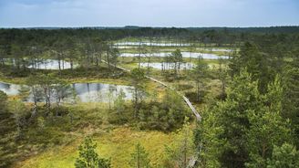 Národní park Lahemaa na severu Estonska je rájem pro milovníky přírody a cykloturistiky