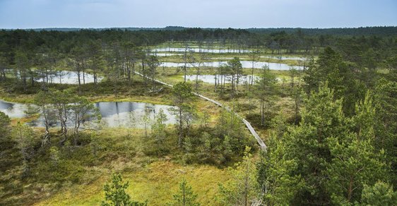 Národní park Lahemaa na severu Estonska je rájem pro milovníky přírody a cykloturistiky