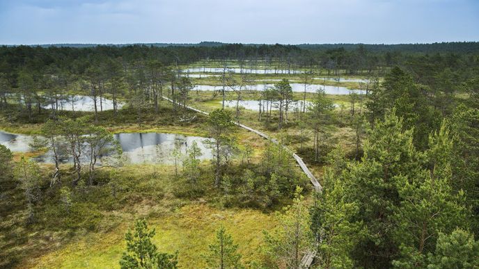 Národní park Lahemaa neboli země Zálivů leží v severovýchodní části Estonska