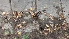Agresor napadl muže v Olomouci lahvemi od piva.