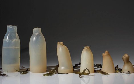 To je ona – ekologicky absolutně nezávadná lahev. Na snímcích je zachyceno postupné rozložení flašky.