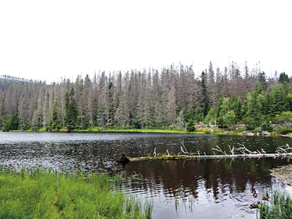 Jezero Laka je nejmenší a nejvýše položené šumavské jezero