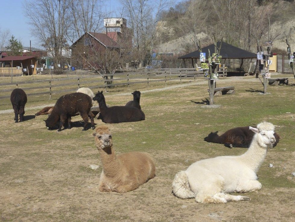 Lamacentrum Hády u Brna