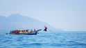 Lamalera je tradiční velrybářská osada a má od indonéské vlády výjimku: staletími vydržené právo k lovu velryb.