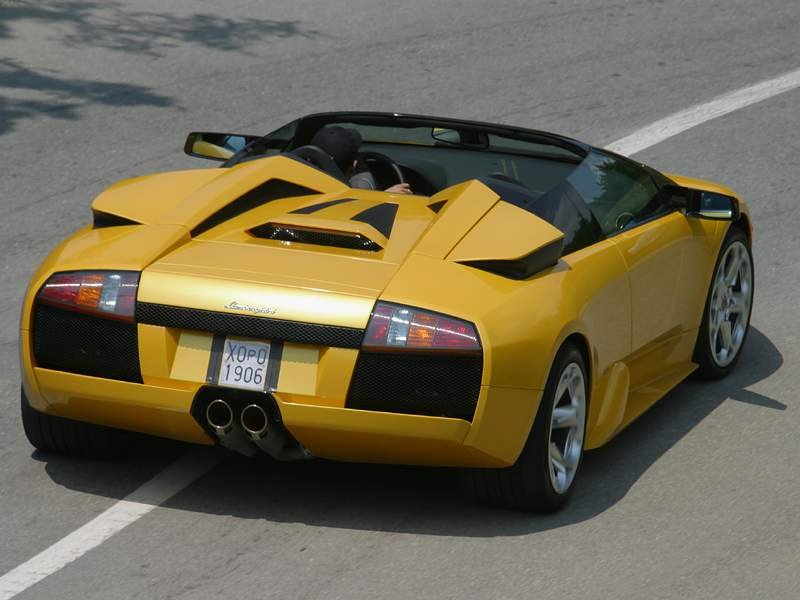 Murciélago Barchetta