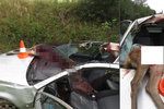 Brutální srážka s laní na Prachaticku: Řidič má těžká zranění, auto je na odpis