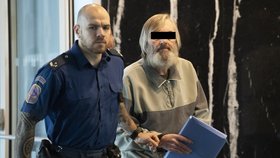 Muž se u soudu přiznal k loňské vraždě družky v Lanškrouně.