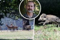 Novinky v Lánské oboře: Pro veřejnost plánuje další komentované prohlídky