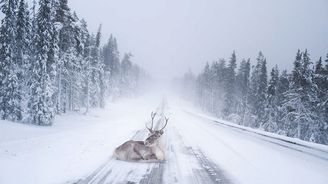 Nádhera za polárním kruhem. 20 důkazů, proč mají v Laponsku ty nejkrásnější Vánoce