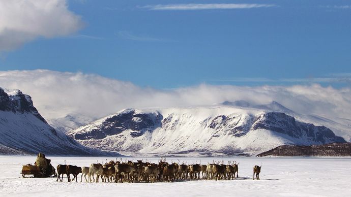 Sámové, kočovníci severských plání