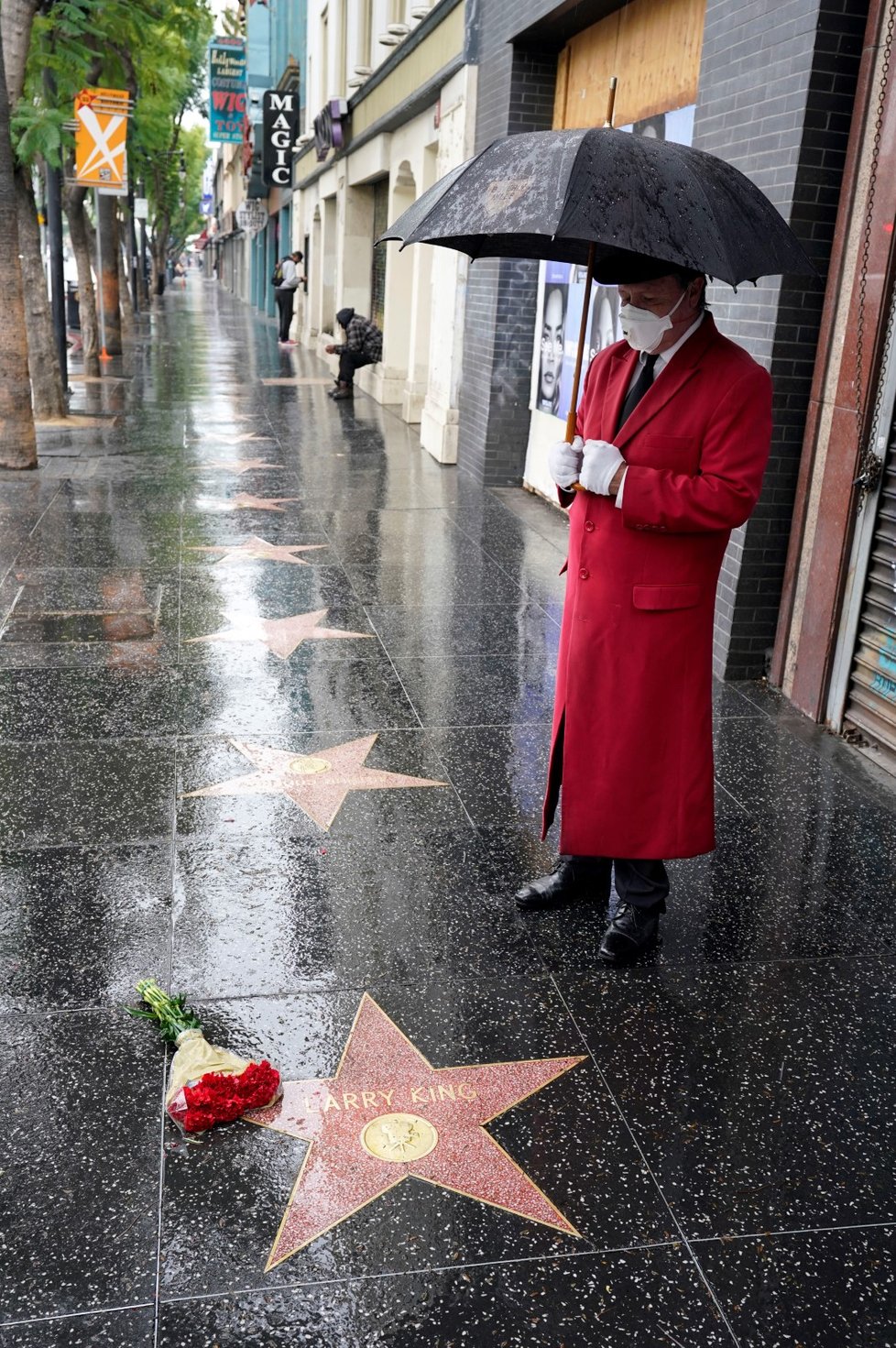 Kingova hvězda v Hollywoodu.