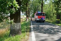 Tragédie na houbách: Muž zkolaboval a umíral u silnice, řidiči jen projížděli kolem!