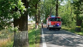 Tragédie na houbách: Muž zkolaboval a umíral u silnice, řidiči jen projížděli kolem!