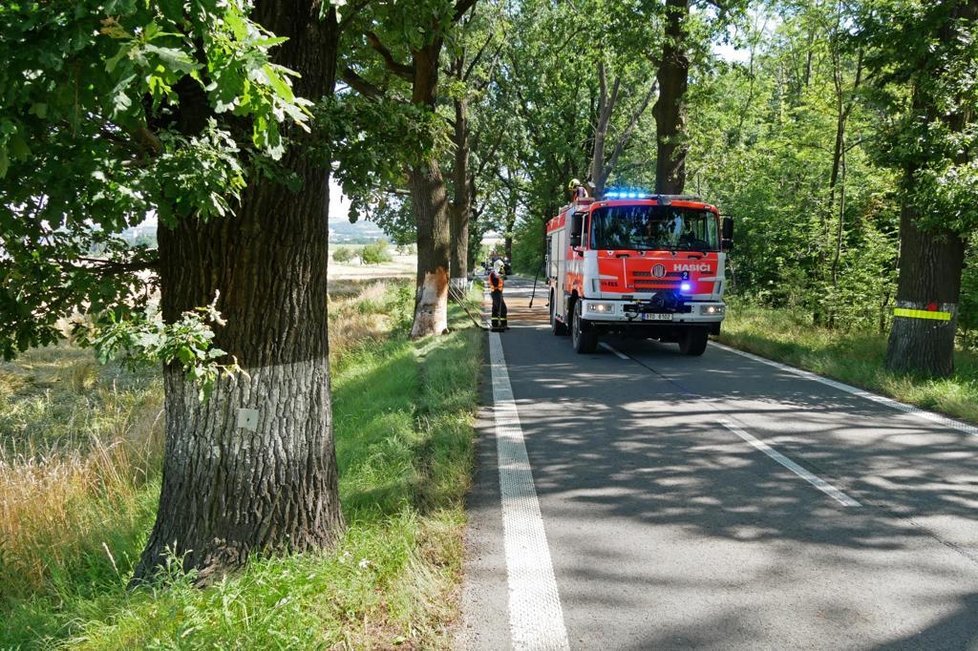 Mladý řidič (†23) najel mezi Krnovem a obcí Láryšov na Bruntálsku do stromu. Na místě zemřel.