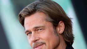 Brad Pitt nepovažuje krásu za žádnou zásluhu. Přiznává sice, že mu vzhled pomohl k některým rolím, ale bez talentu by to prý nešlo.