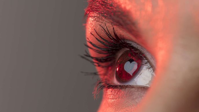 Ilustrační foto Ilustrační foto