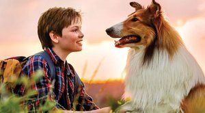 Slavná Lassie byla skutečná psí hrdinka a vysloužila si stříbrný obojek