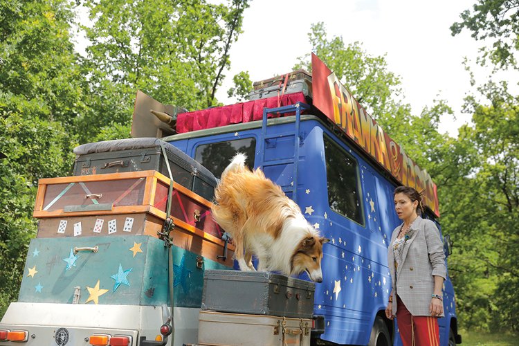 Lassie se vracií: Nový film s nesmrtelným psem