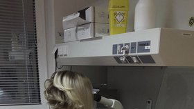 V brněnské klinice došlo k záměně embryí.