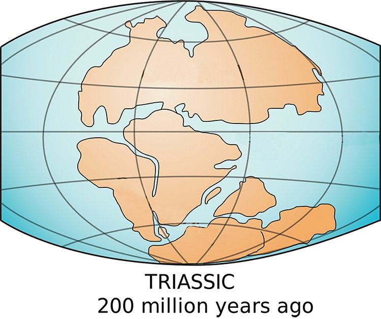 Kontinenty před 200 milióny lety: Nahoře Laurásie, dole Gondwana