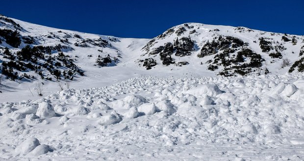 Do Malé kotelní jámy v Krkonoších spadla v polovině února zatím největší lavina letošní zimy. Lavina měla délku 425 metrů a parametry střední základové laviny. Na snímku z 27. února je čelo laviny, které bylo vysoké 1,8 metru.