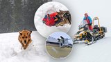 Tragédie českého chlapce (†13) i tří skialpinistů: Smrtící ticho pod sněhem!