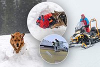Tragédie českého chlapce (†13) i tří skialpinistů: Smrtící ticho pod sněhem!