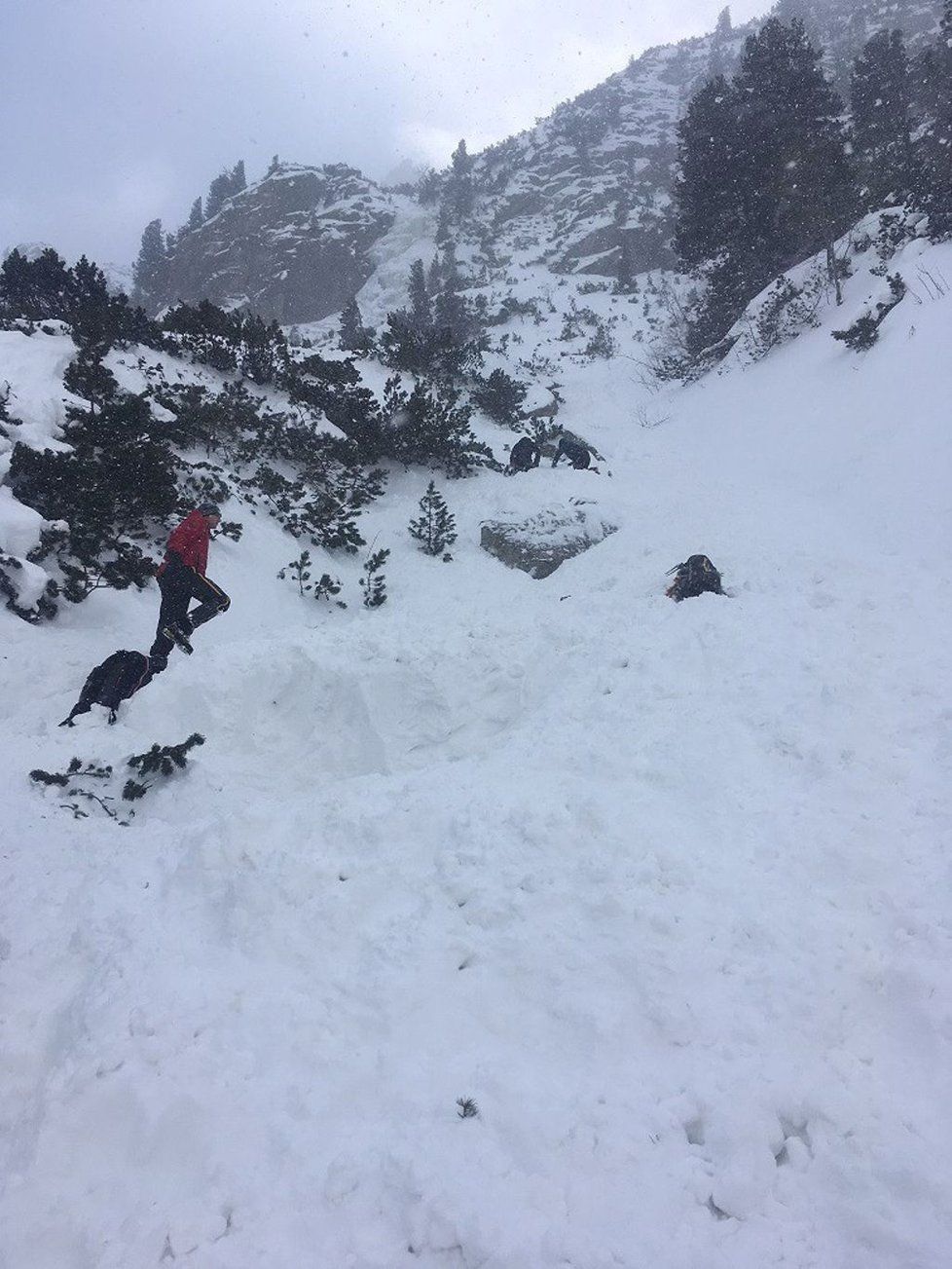 Záchranné práce ve Vysokých Tatrách po pádu laviny. Petra se zpod sněhu živého dostat nepodařilo.