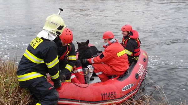 Drama se odehrálo včera po jedné hodině odpoledne. V momentě, kdy byli na mostku čtyři lidé, se náhle zřítil. Senior (60) a žena (63) skončili s těžkým zraněním v nemocnici, muže uvedli záchranáři do umělého spánku a napojili ho na plicní ventilaci.