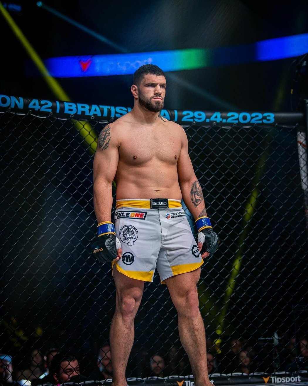 Bulharský profesionální MMA zápasník Lazar Todev je bývalým šampionem organizace Enfusion ECE.