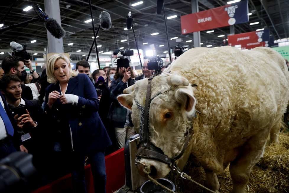 Marine Le Penová vsadila na kontaktní kampaň.